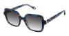Picture of Fysh Sunglasses F-2151