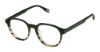 Picture of Evatik Eyeglasses E-9304