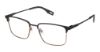Picture of Evatik Eyeglasses E-9303