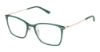 Picture of Steel + Tate Eyeglasses SLTA-0031