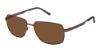 Picture of Superflex Sun Sunglasses SFS-2031