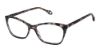 Picture of Fysh Eyeglasses F-3777