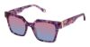 Picture of Fysh Sunglasses F-2150