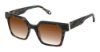Picture of Fysh Sunglasses F-2150