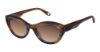 Picture of Fysh Sunglasses F-2147