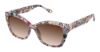 Picture of Fysh Sunglasses F-2143