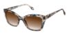 Picture of Fysh Sunglasses F-2141