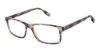 Picture of Evatik Eyeglasses E-9305