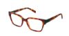Picture of Steel + Tate Eyeglasses SLTA-0030