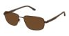 Picture of Superflex Sun Sunglasses SFS-2036