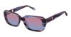 Picture of Fysh Sunglasses F-2146