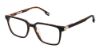 Picture of Evatik Eyeglasses E-9307