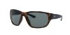 Picture of Ray Ban Sunglasses RB4300