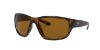 Picture of Ray Ban Sunglasses RB4300