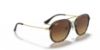 Picture of Ray Ban Sunglasses RB4273