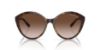 Picture of Armani Exchange Sunglasses AX4134S