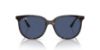 Picture of Ray Ban Sunglasses RB4378F