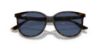 Picture of Ray Ban Sunglasses RB4378F