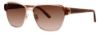 Picture of Vera Wang Sunglasses ARDEN