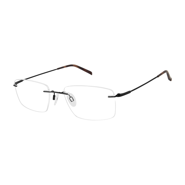 Picture of Charmant Eyeglasses 29126F