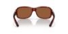 Picture of Costa Del Mar Sunglasses 6S9042
