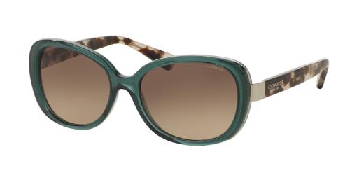 Picture of Coach Sunglasses HC8172 L153