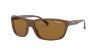 Picture of Arnette Sunglasses AN4263