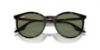 Picture of Ray Ban Sunglasses RB2204F