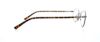 Picture of Polo Eyeglasses PH1121