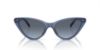 Picture of Michael Kors Sunglasses MK2195U