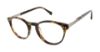 Picture of Buffalo David Bitton Eyeglasses BM006