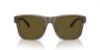 Picture of Emporio Armani Sunglasses EA4208F