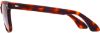 Picture of American Optical Sunglasses Saratoga