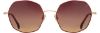 Picture of State Optical Sunglasses Jones