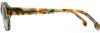 Picture of State Optical Sunglasses Koko