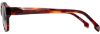 Picture of State Optical Sunglasses Koko