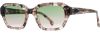 Picture of State Optical Sunglasses Koko