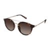 Picture of Eddie Bauer Sunglasses EB 32807