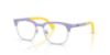 Picture of Ray Ban Eyeglasses RY1641