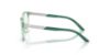Picture of Emporio Armani Eyeglasses EK3010