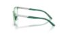 Picture of Emporio Armani Eyeglasses EK3011U