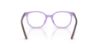 Picture of Ray Ban Eyeglasses RY9097V