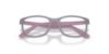 Picture of Ray Ban Eyeglasses RY1644