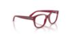 Picture of Ray Ban Eyeglasses RY1950
