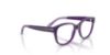 Picture of Ray Ban Eyeglasses RY1950