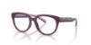 Picture of Dolce & Gabbana Eyeglasses DX5007