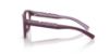 Picture of Dolce & Gabbana Eyeglasses DX5007
