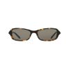 Picture of Dkny Sunglasses DK557S