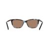 Picture of Dkny Sunglasses DK558S