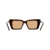 Picture of Salvatore Ferragamo Sunglasses SF2089S